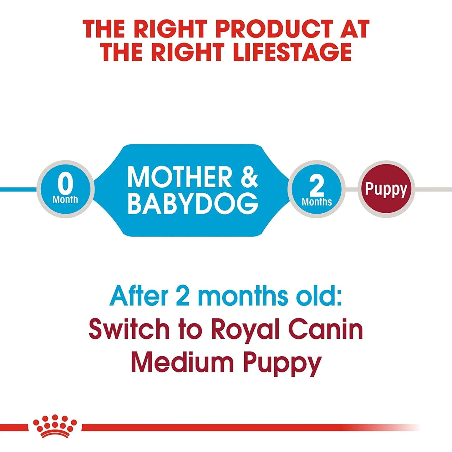 Royal Canin Medium Starter Dry Dog Food