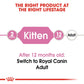 Royal Canin Kitten 36 Dry Cat Food