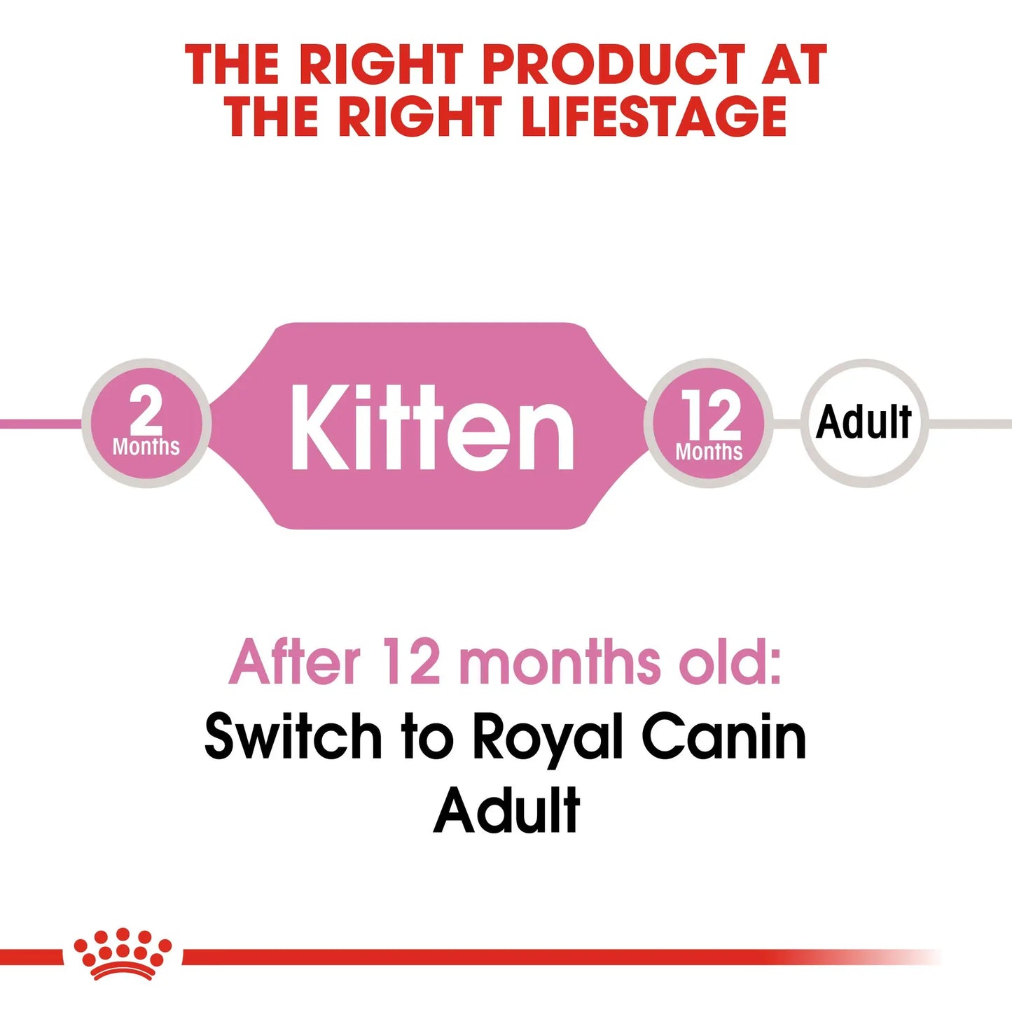 Royal Canin Kitten 36 Dry Cat Food