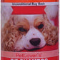 Pet Lovers T/F Shampoo