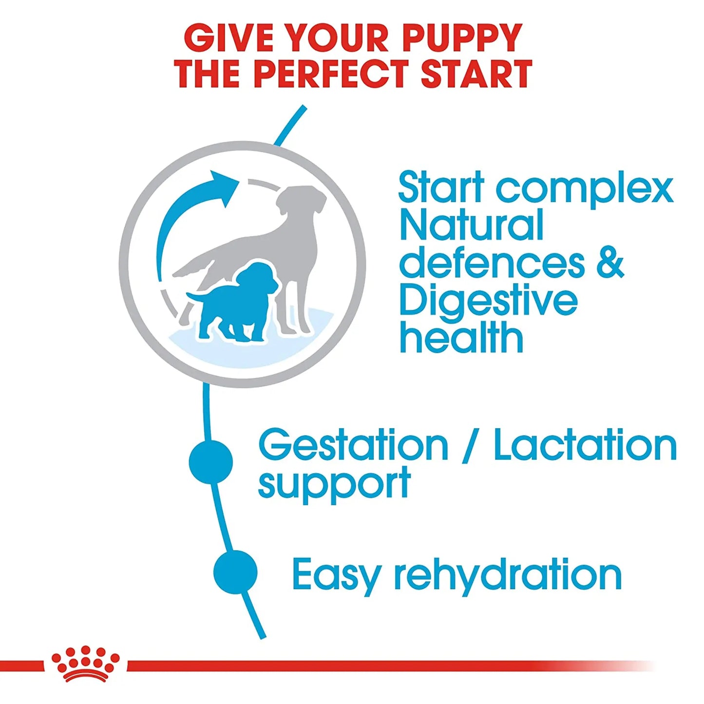 Royal Canin Medium Starter Dry Dog Food