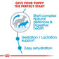 Royal Canin Maxi Starter Dry Dog Food