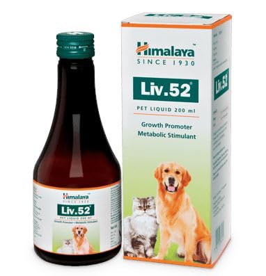 HIMALAYA Liv 52 Syrup