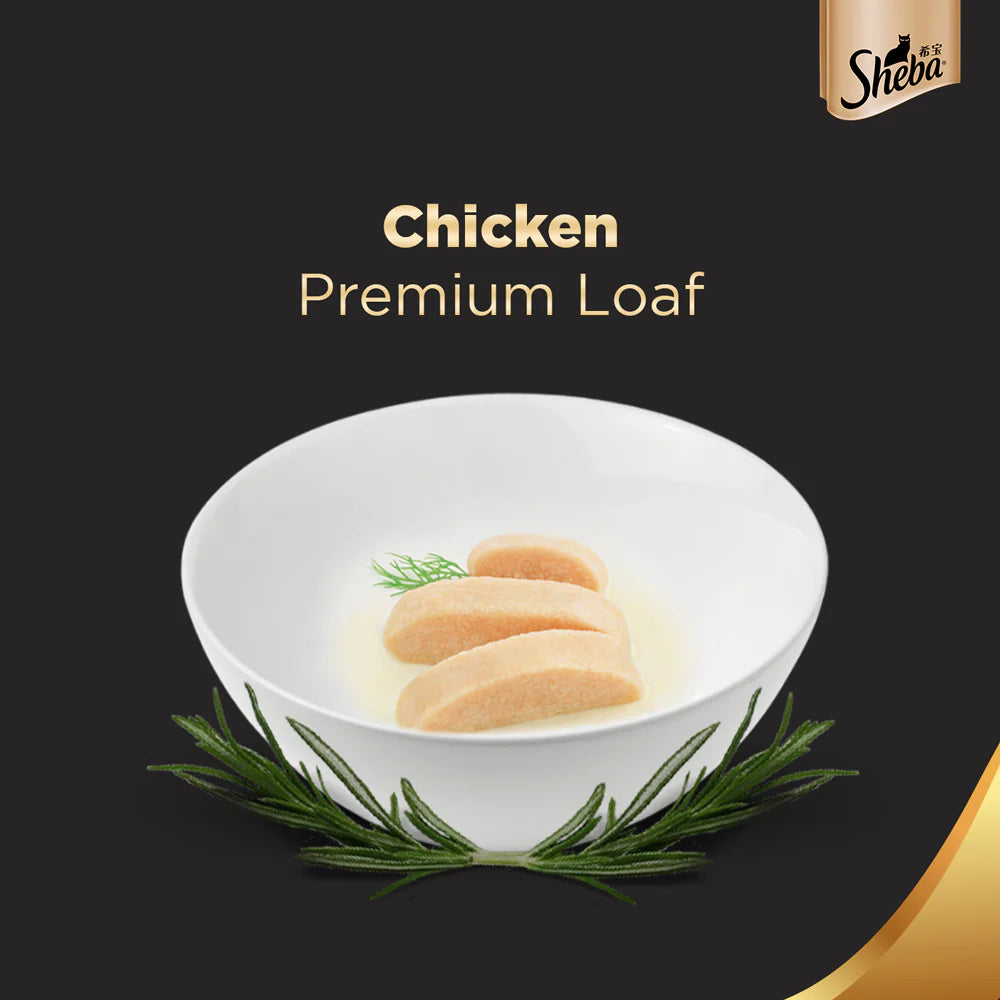 Sheba Wet Chicken Premium Loaf Cat in gravy 70 Gm