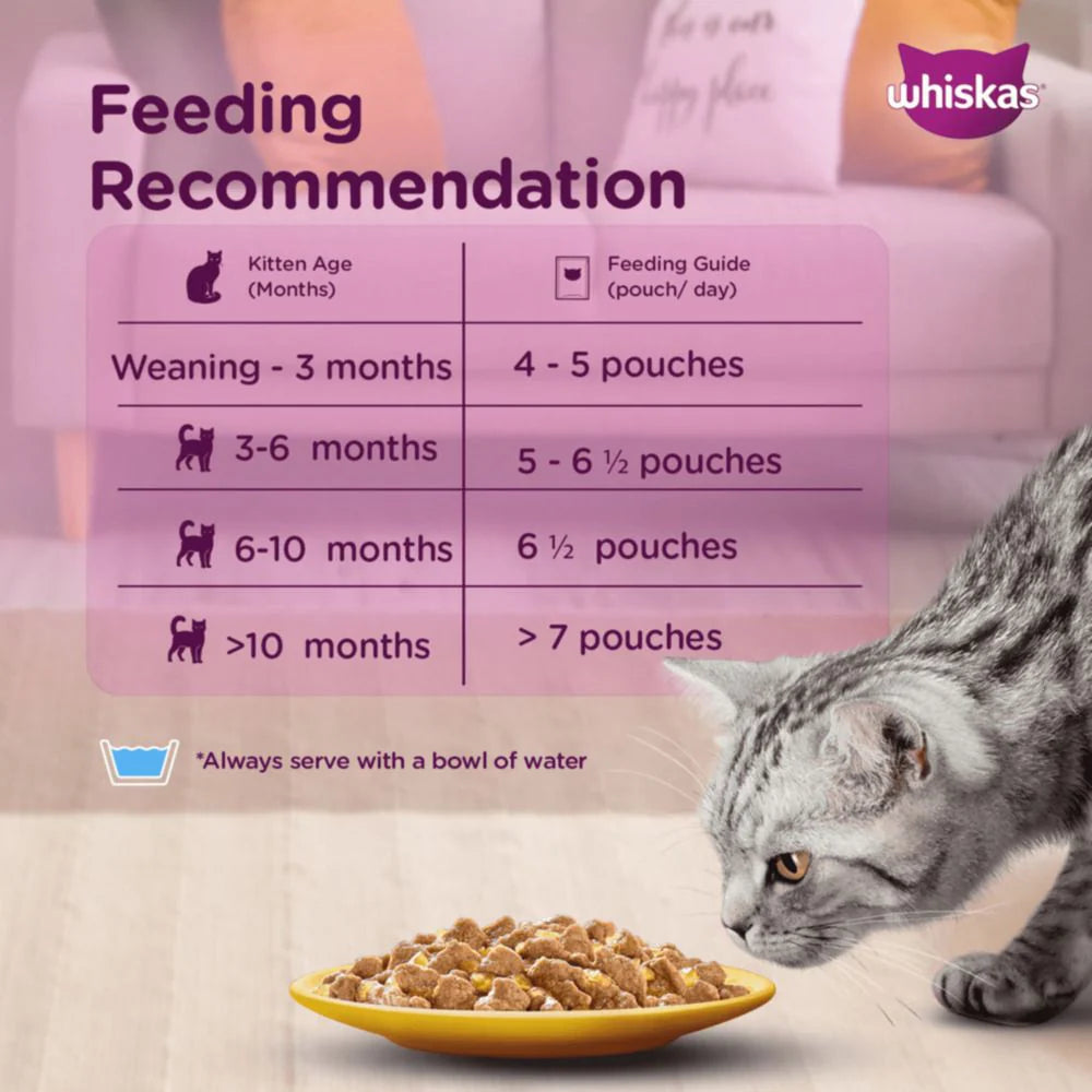 Whiskas Tuna in Gravy (2-12 Months) Wet Food For Junior Kitten 80 GM