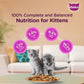 Whiskas Tuna in Jelly Kitten Wet Cat Food