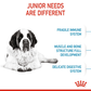 Royal Canin Giant Junior Dry Dog Food