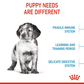 Royal Canin Medium Puppy Dry Dog Food