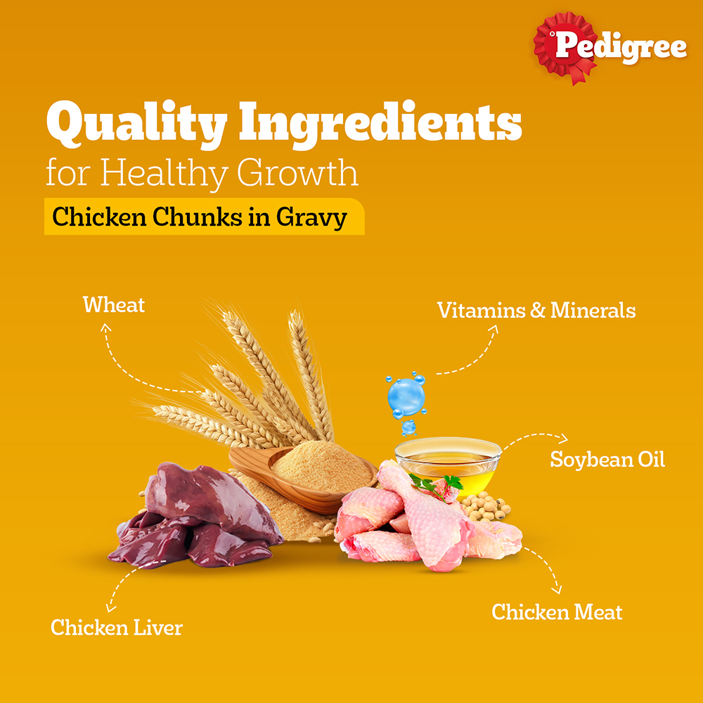 Pedigree Puppy Chicken Chunks in Gravy Dog Food