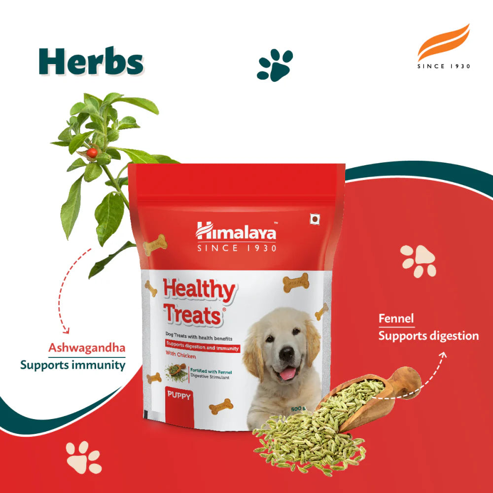 Himalaya Healthy Treats Puppy Biscuits