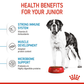 Royal Canin Giant Junior Dry Dog Food