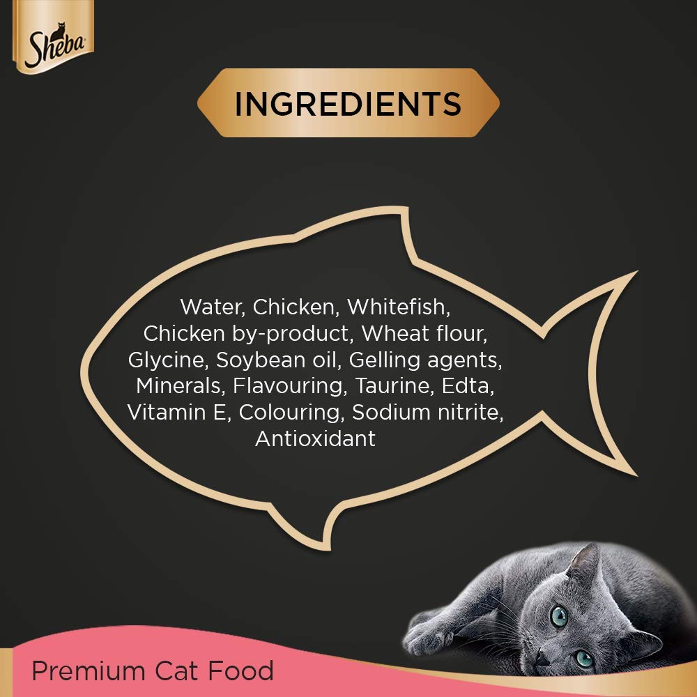 Sheba Chicken Premium Loaf Kitten Wet Food in Gravy 70 Gm