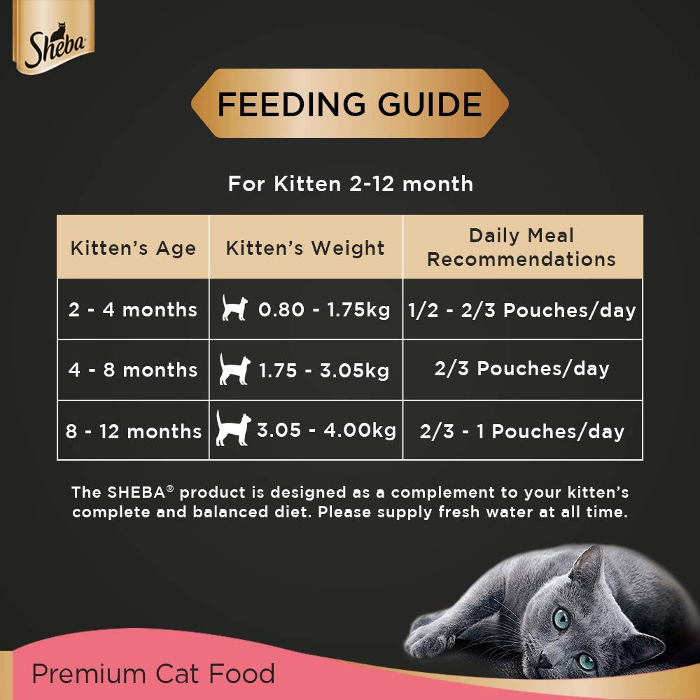 Sheba Chicken Premium Loaf Kitten Wet Food in Gravy 70 Gm