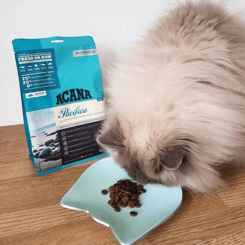 Acana Cat Pacifica Dry Cat Food