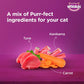 Whiskas Adult Tasty Mix Tuna With Kanikama And Carrot in Gravy 70 GM