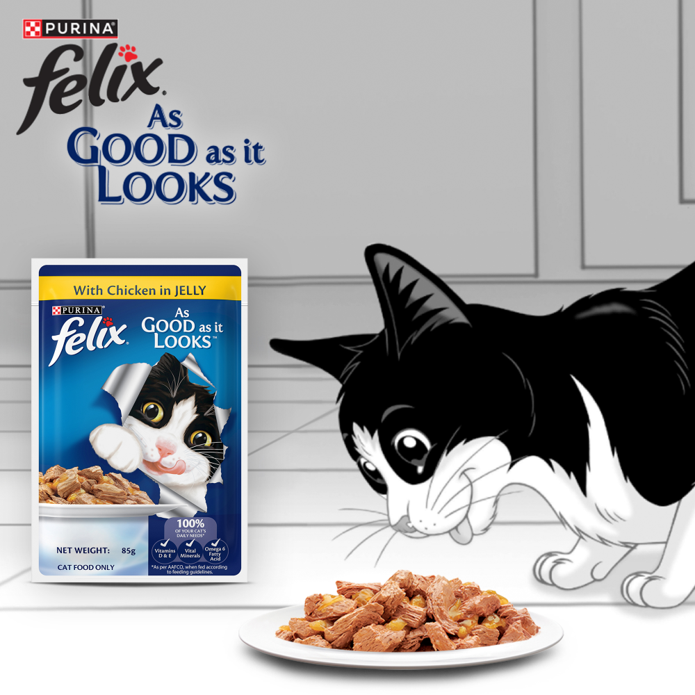 Purina Felix Chicken with Jelly Adult Cat Wet Food