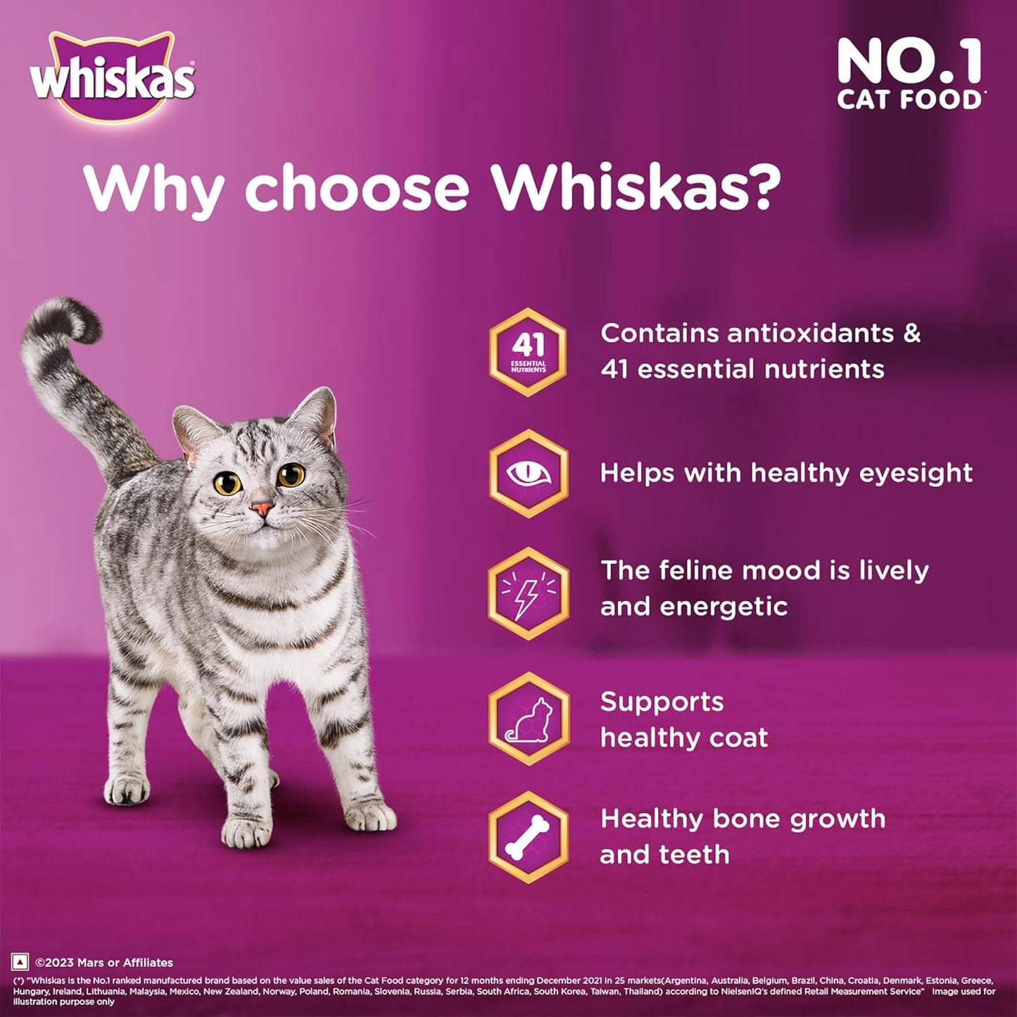 Whiskas Ocean Fish Adult Dry Cat Food (1+ Years)