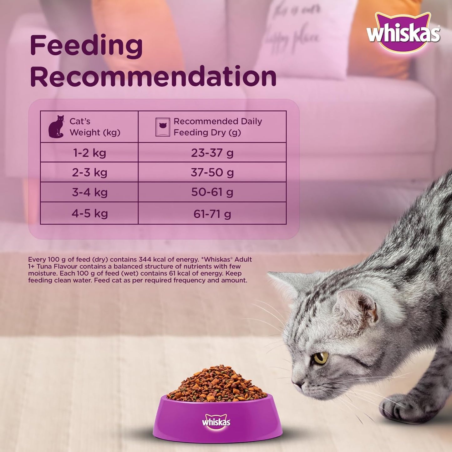 Whiskas Ocean Fish Adult Dry Cat Food (1+ Years)