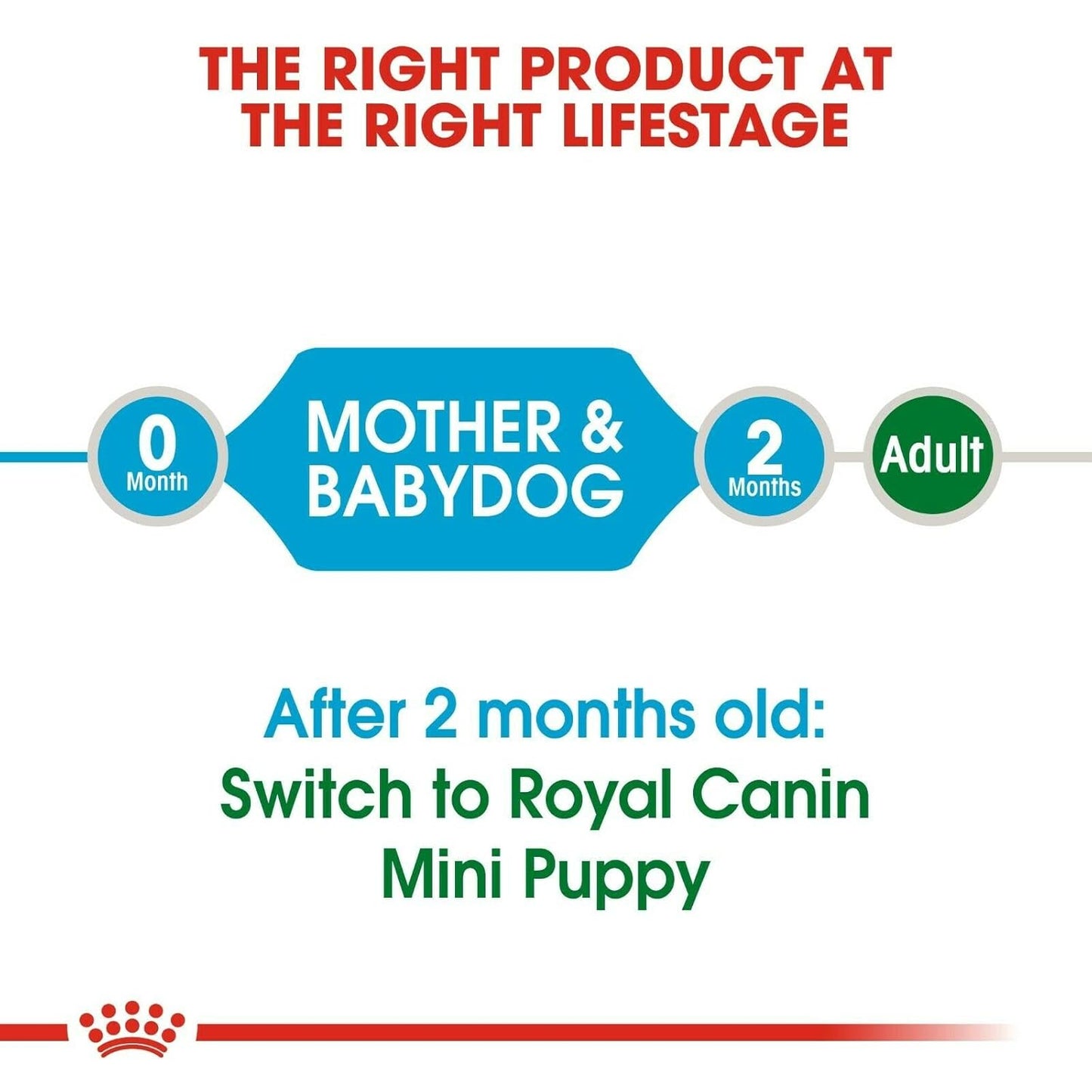 Royal Canin Mini Starter Dog Dry Food