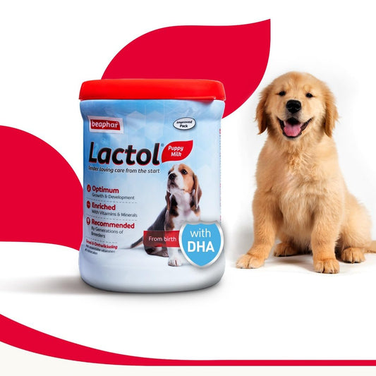 Beaphar Lactol Puppy Milk 250 gms Free Nursing Set