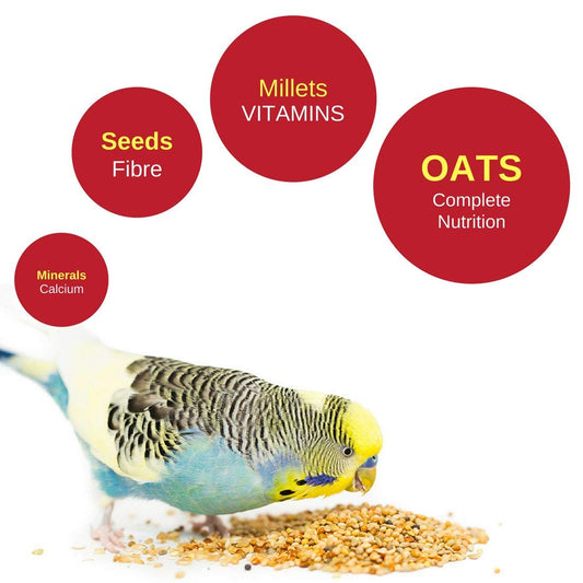 Vitapol Economic Food For Budgie 1.2 kg