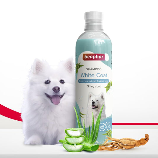Beaphar Aloe Vera Dog Shampoo For White Coats 250 ml