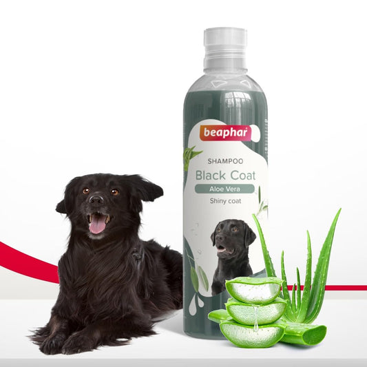Beaphar Aloe Vera Dog Shampoo For Black Coats 250 ml