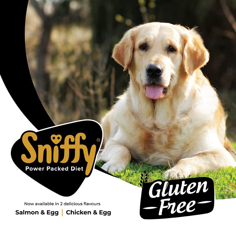 Sniffy Salmon & Egg Adult Dog Dry Food