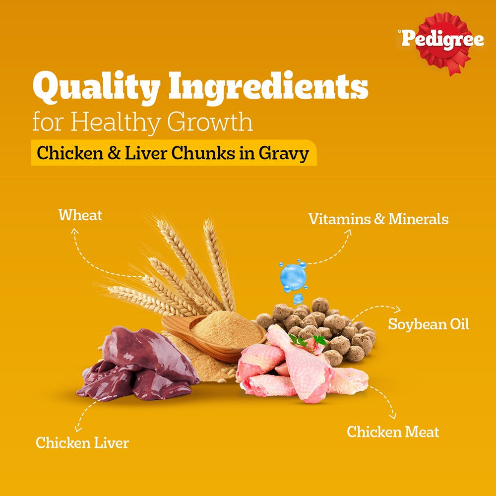 Pedigree Chicken & Liver Chunks in Gravy Puppy Wet Dog Food (70g)