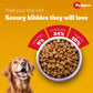 Pedigree Puppy Chicken and Milk Dog Dry Food