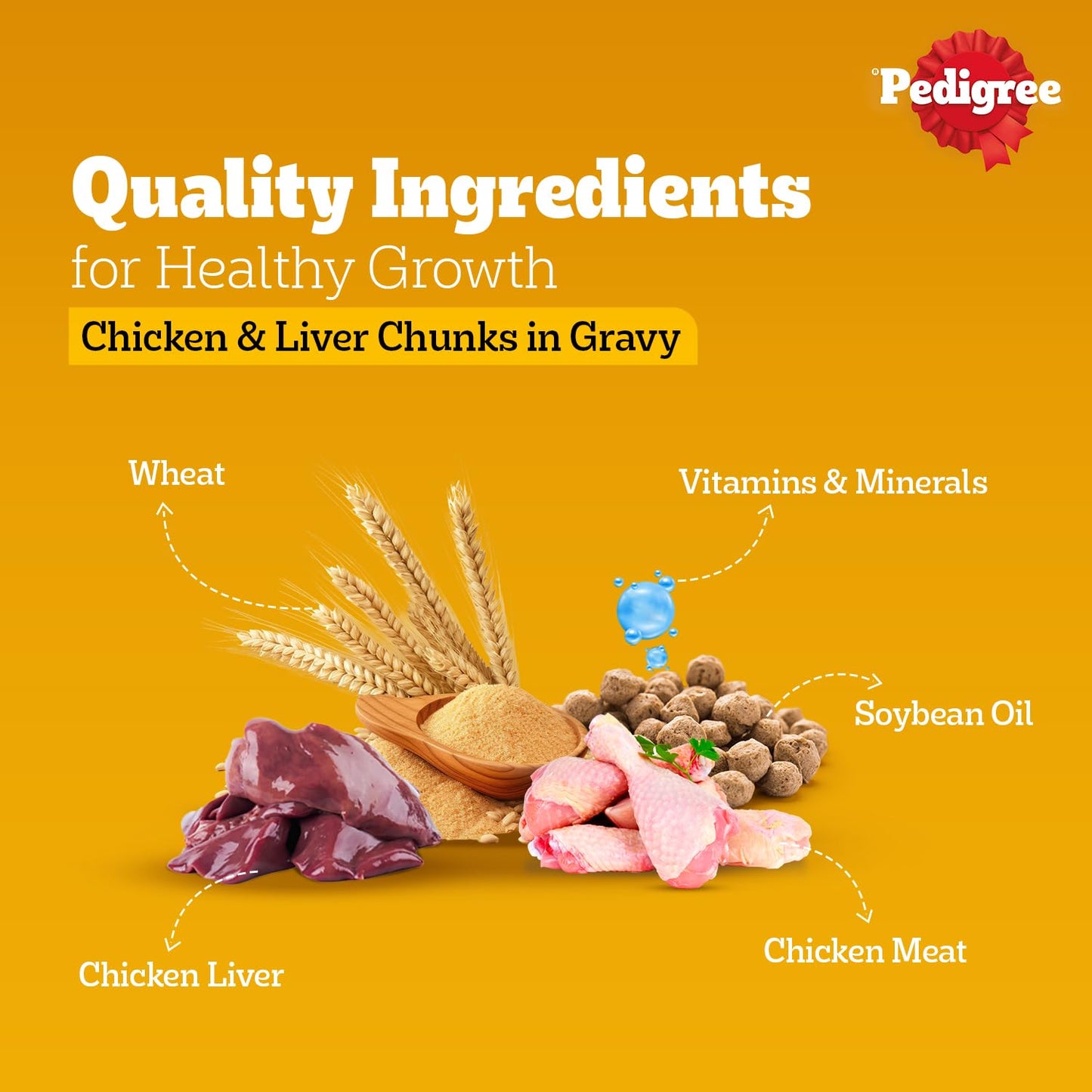 Pedigree Chicken and Liver Chunks in Gravy Adult Dog Wet Food (70g)