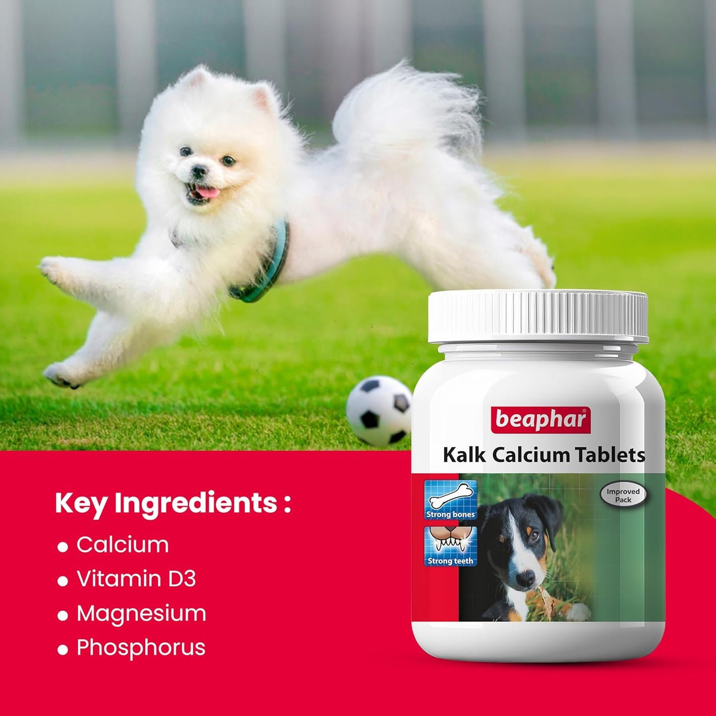 Beaphar Kalk Calcium Tablets Supplements for Dogs