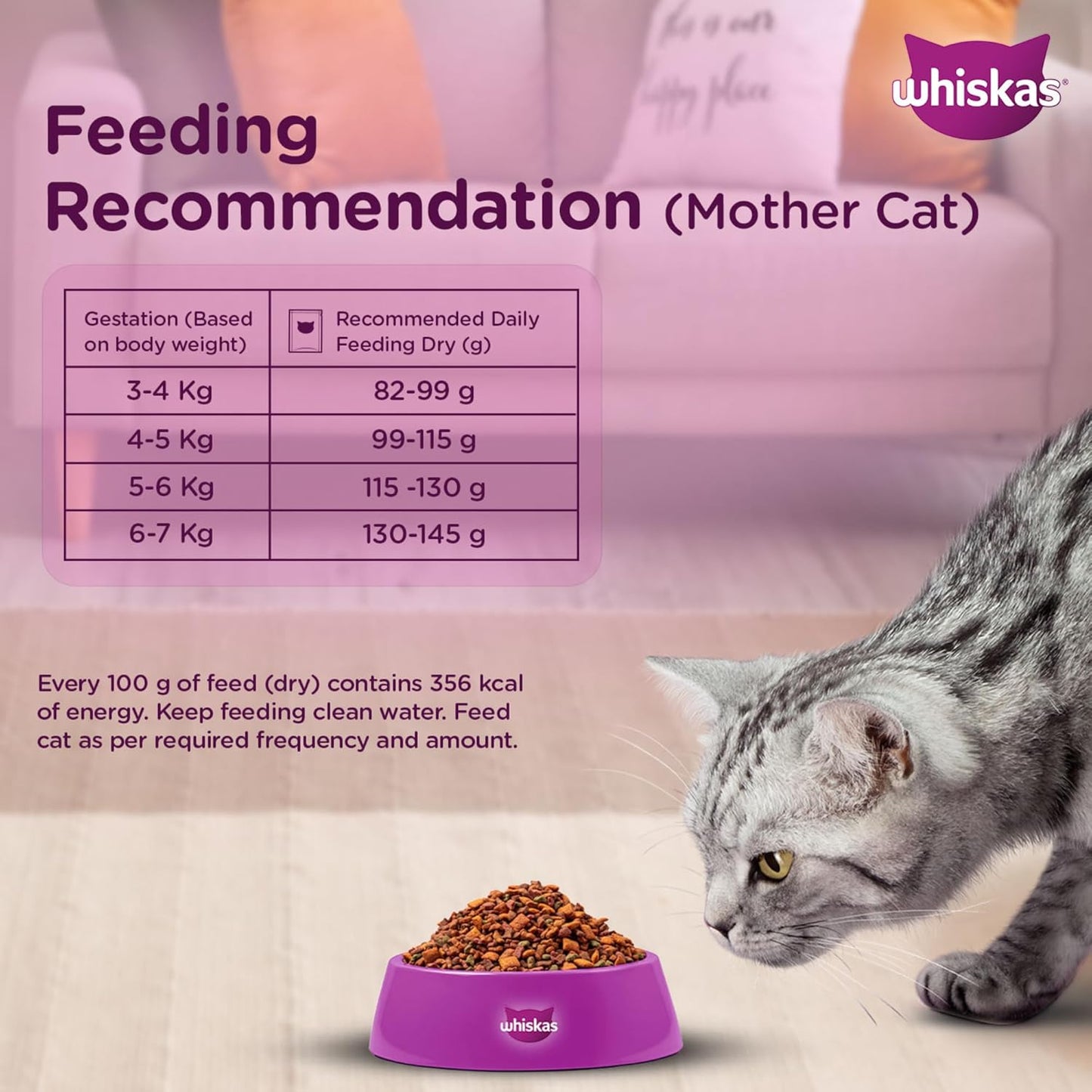 Whiskas Junior (2-12 Months) Dry Kitten  Food Mackerel Flavour