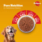 Pedigree Chicken and Liver Chunks in Gravy Adult Dog Wet Food (70g)