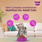 Whiskas Junior (2-12 Months) Dry Kitten  Food Mackerel Flavour