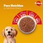 Pedigree Chicken & Liver Chunks in Gravy Puppy Wet Dog Food (70g)