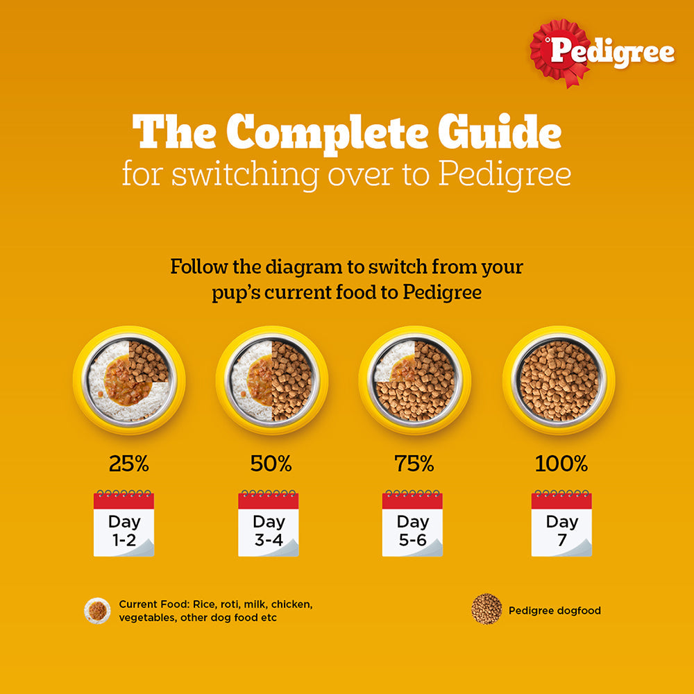 Pedigree Chicken & Vegetables Adult Dog Dry Food