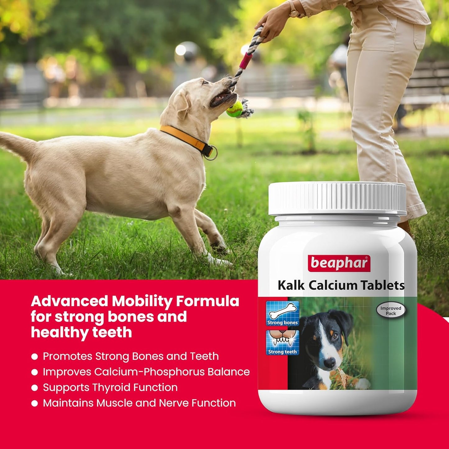 Beaphar Kalk Calcium Tablets Supplements for Dogs