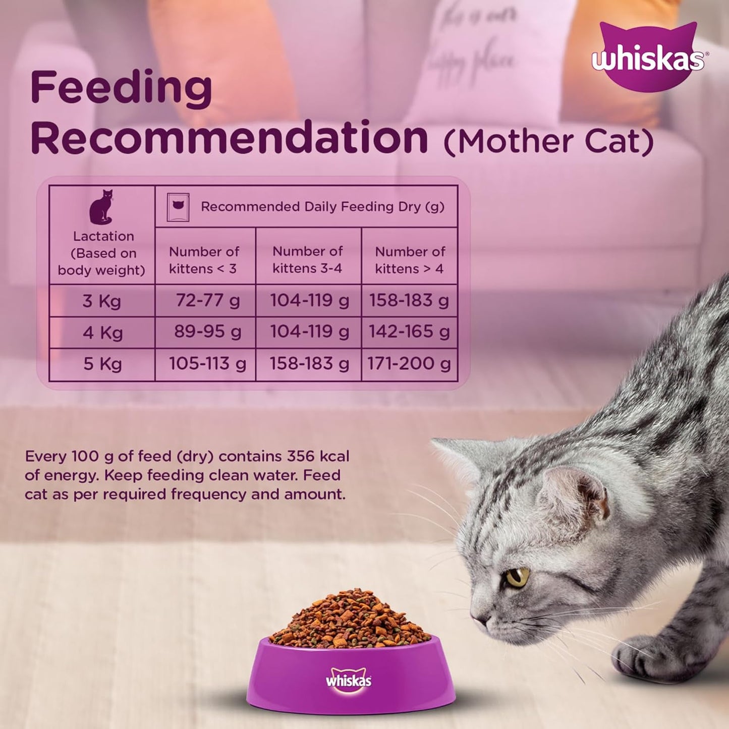 Whiskas Junior (2-12 Months) Dry Kitten  Food Mackerel Flavour