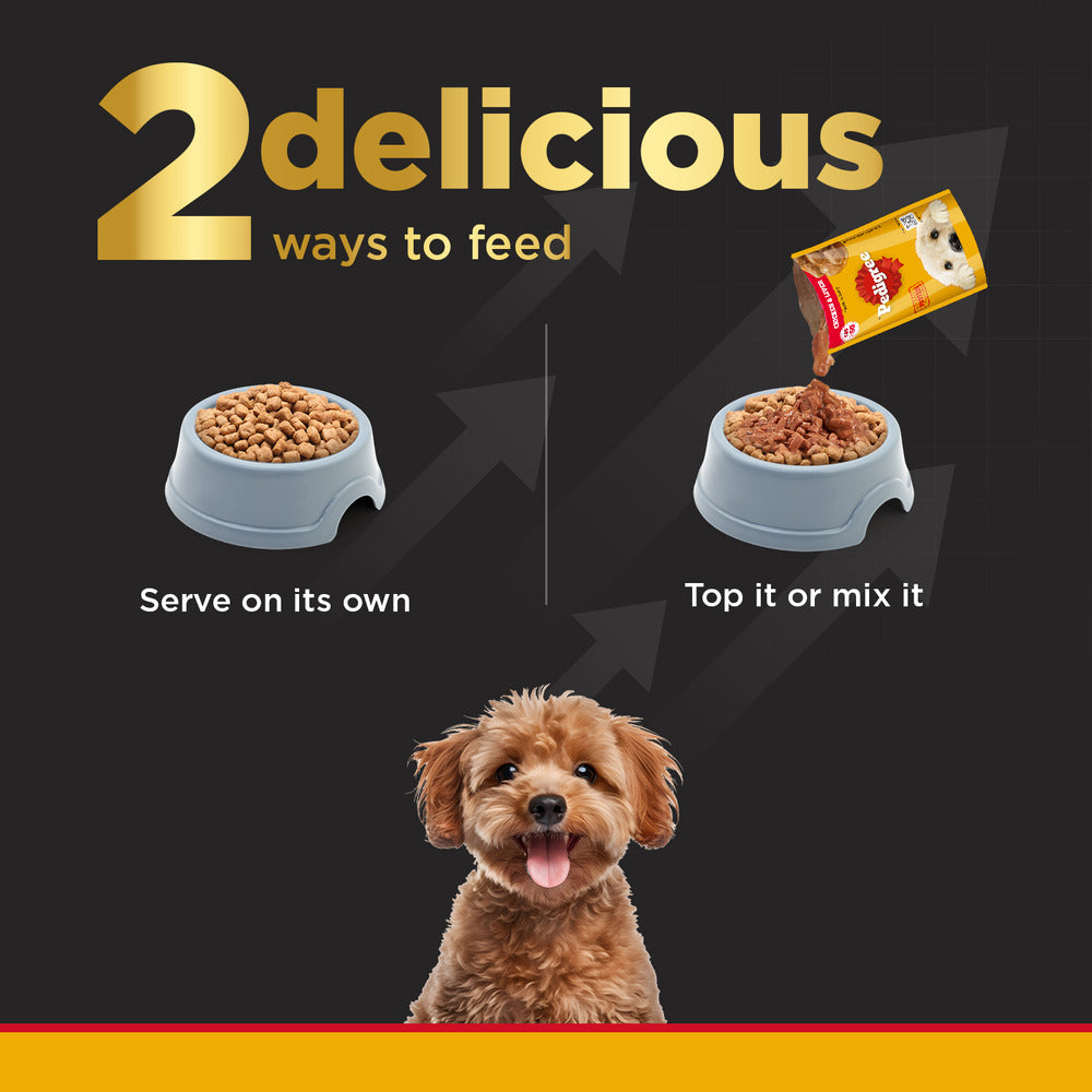 Pedigree PRO Expert Nutrition Dry Food for Small Breed Puppies (2-9 Months)