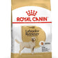 Royal Canin Labrador Retriever Adult Dry Dog Food