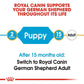 Royal Canin German Shepherd Puppy Dry Dog Food