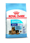 Royal Canin Maxi Starter Dry Dog Food