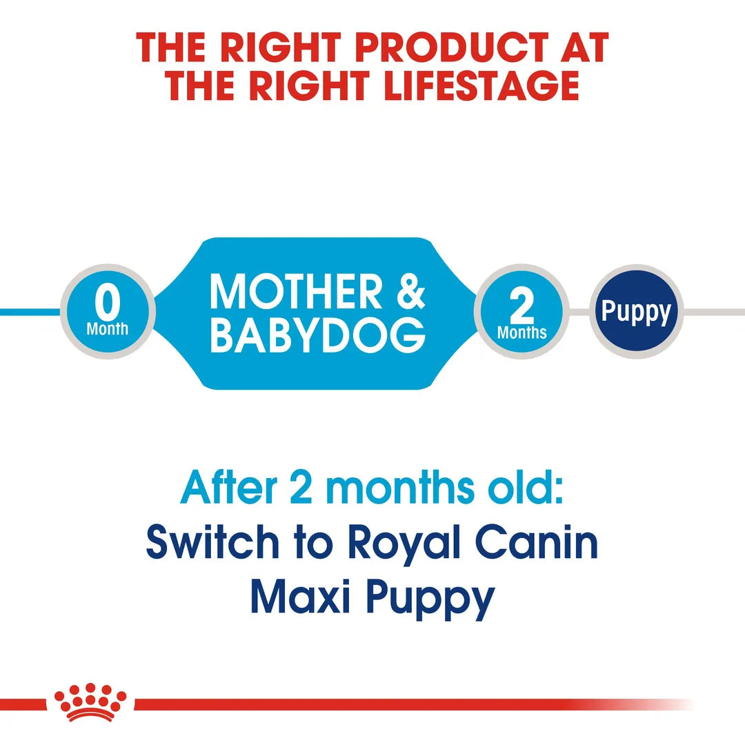 Royal Canin Maxi Starter Dry Dog Food