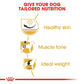 Royal Canin Pug Adult Dry Dog Food 3 Kg