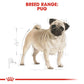 Royal Canin Pug Adult Dry Dog Food 3 Kg