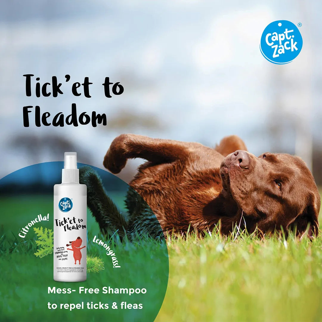 Captain Zack Tick’et to Fleadom Dry Waterless Ticks Dog Shampoo 250 ml