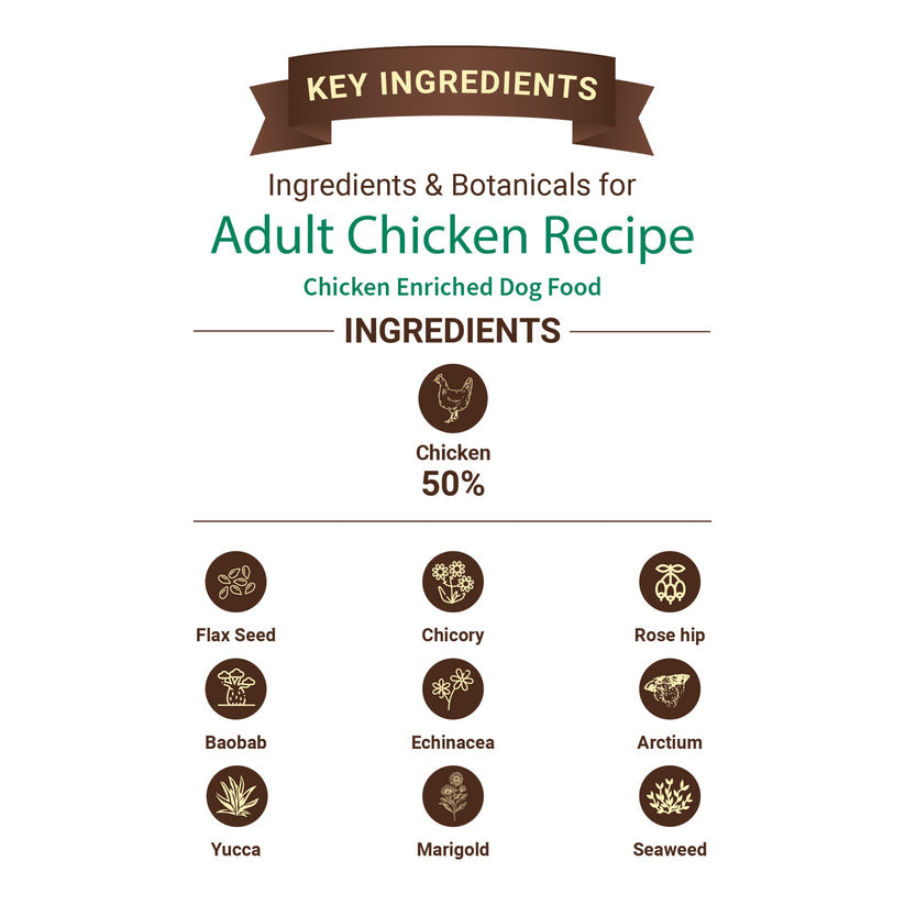 Bruno's Wild Essentials Chicken Recipe Adult Dry Dog Food