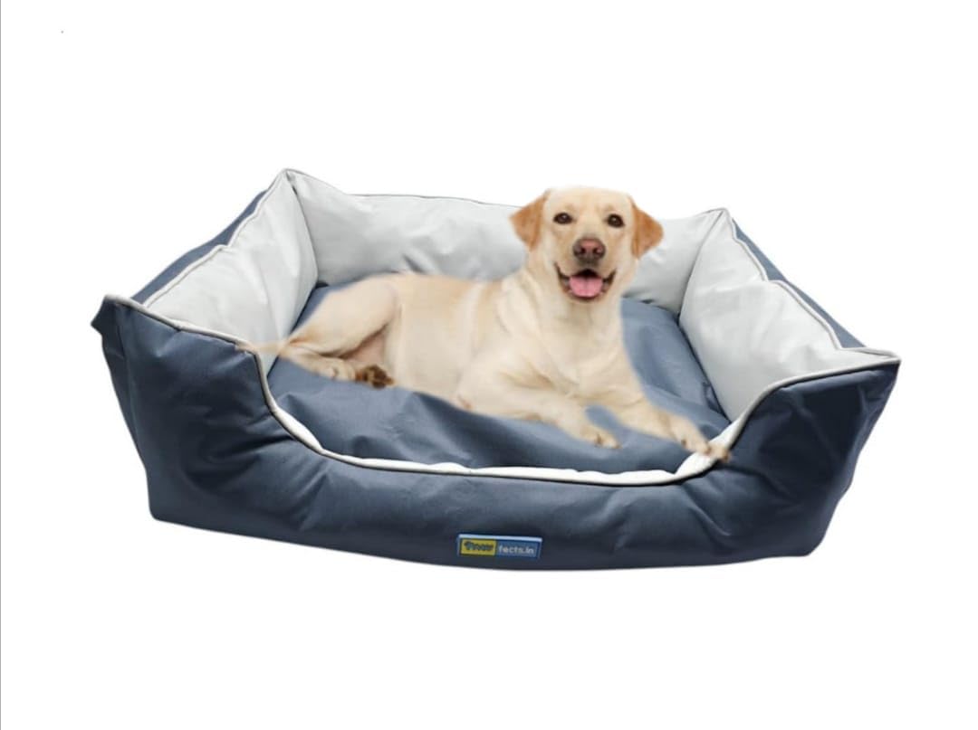 Petsworld Premium Outdoor Lounger Dog Bed