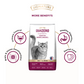 Signature Grain Zero Ocean Fish, Sardine & Mackerel Adult All Breed Dry Cat Food